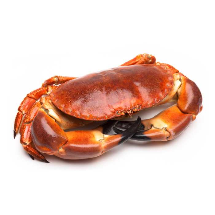 Crab